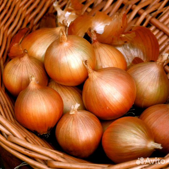 Овощи и фрукты со своего огорода