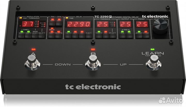 Цифровой дилей TC electronic 2290 P dynamic digita