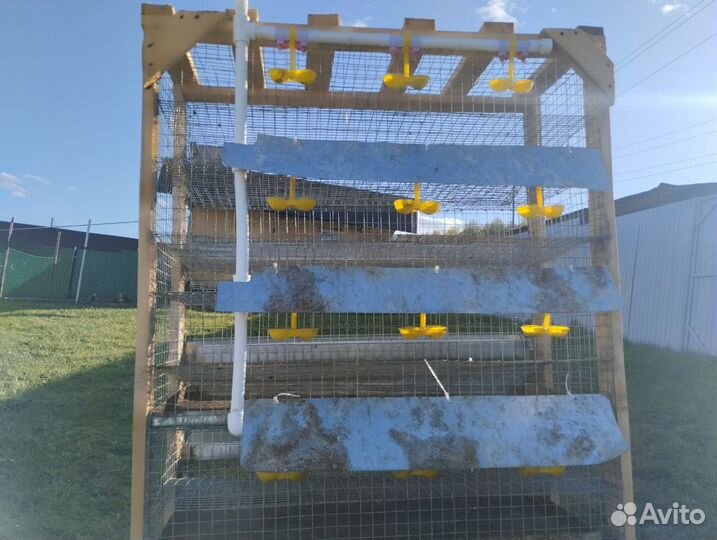 Клетка для перепелов