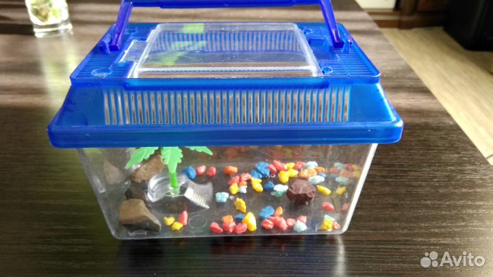 Контейнер для передержки аквариумных рыбок,черепах