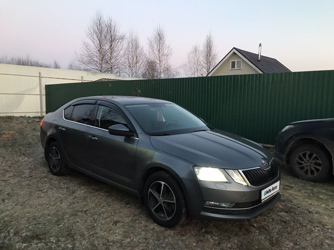 Skoda Octavia: фото владельца
