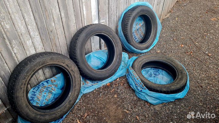 Nexen Winguard Spike WS62 185/65 R15