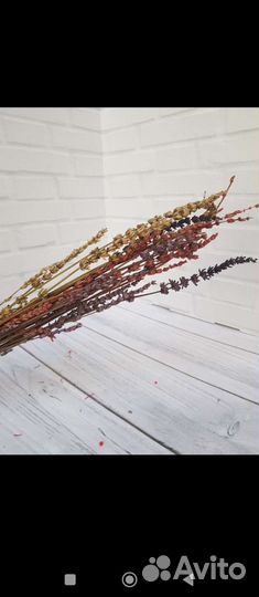 Лаванда стабилизированная