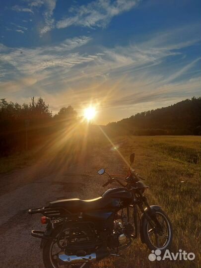 Alpha shuriken evolution 110