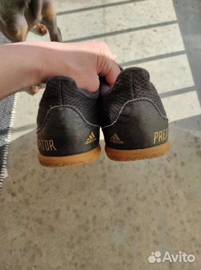 Футбольные футзалки adidas predator