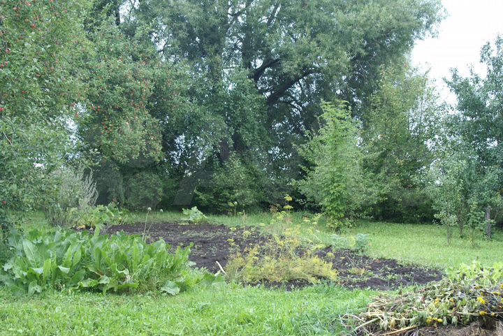 Участок 22 сот. (ИЖС)