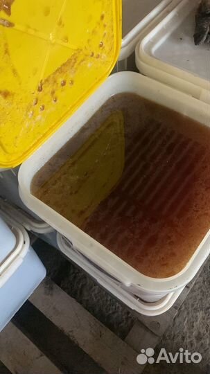 Мед свежий 2023 с доставкой по 0,5кг и 1кг