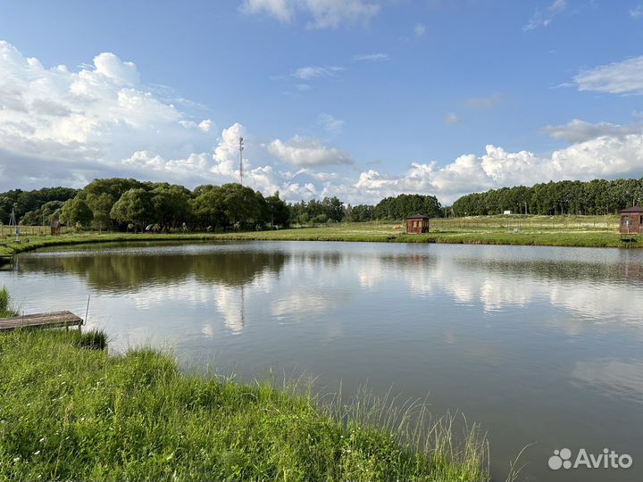 Платная рыбалка