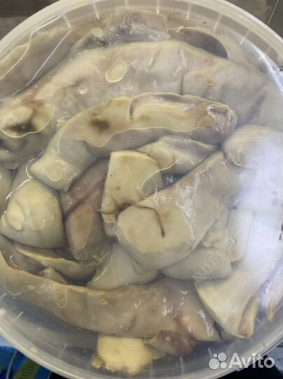 Молоки сельди