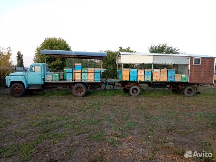 Прицеп для пчел
