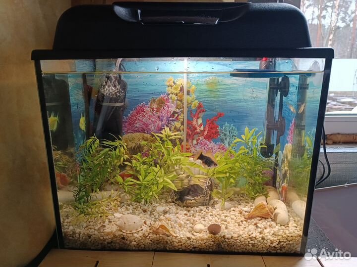 Аквариум