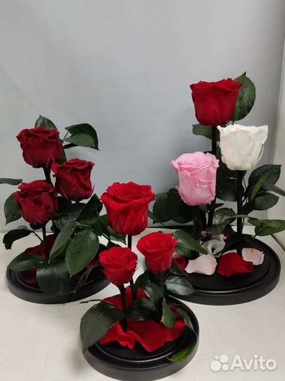 Роза в колбе оптом и в розницу