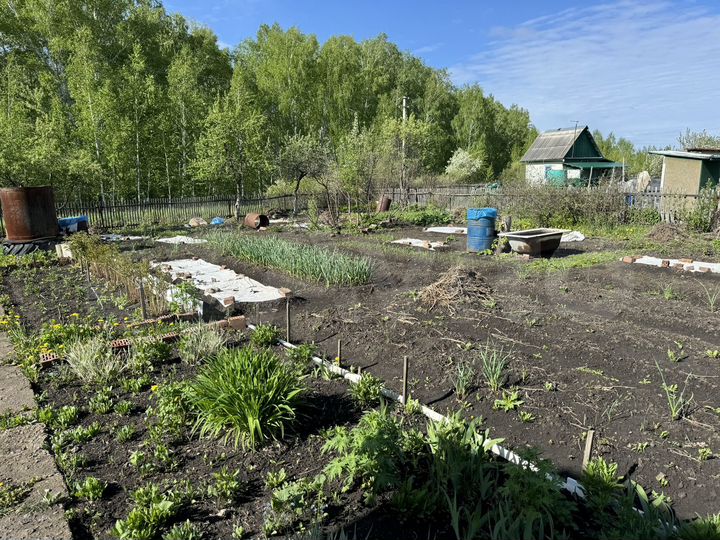 Дача 50 м² на участке 9 сот.