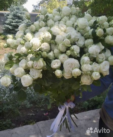 Пионовидные розы Метровые Доставка