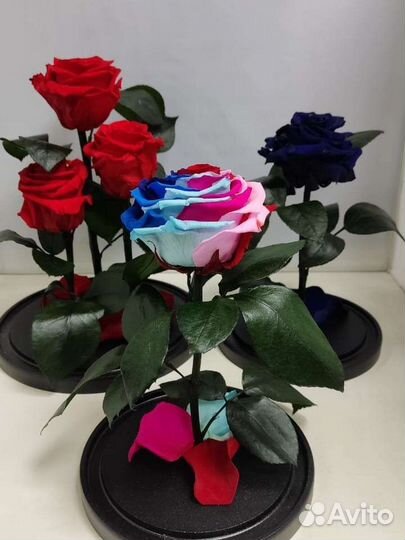 Роза в колбе оптом
