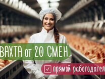 Вахта 20 смен / Жильё+питание / Упаковщик сидя