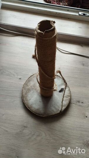 Для котика или кошечки