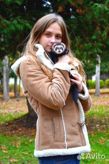 Фотограф анималист