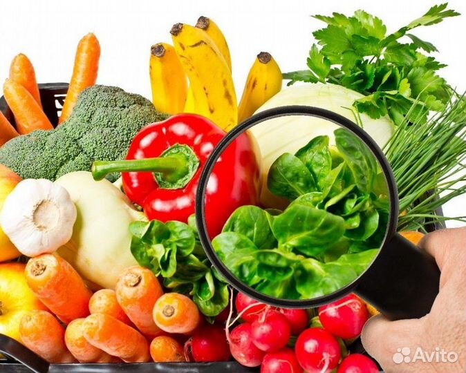 Товаровед по качеству фруктов и овощей