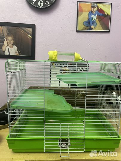 Клетка для грызунов