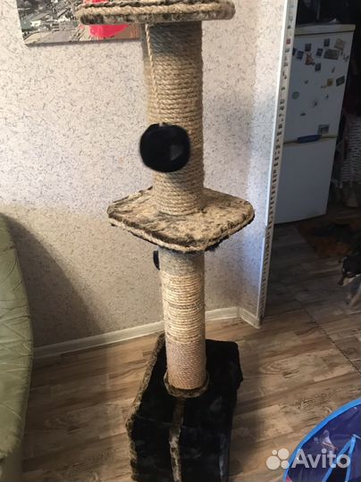 Когтеточка домик для кошки новый