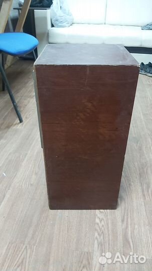 Аудио колонка Вега 50 ас-104