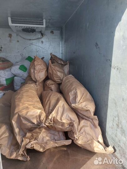 Уголь берёзовый