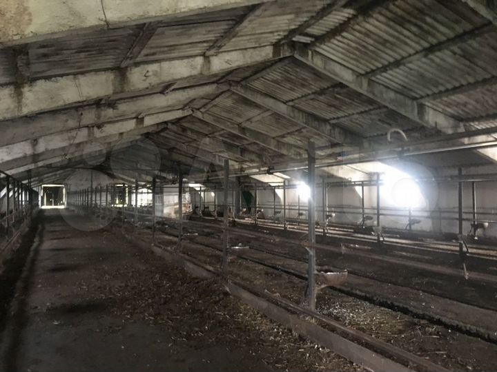 Производство, 1530.7 м²