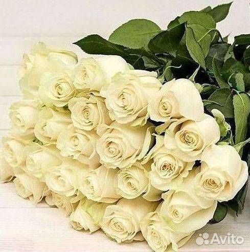 Высокие Розы с Доставкой