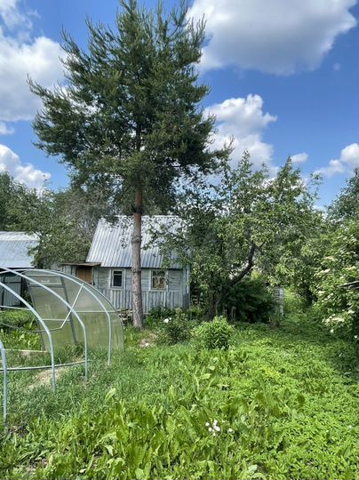 Участок 4,6 сот. (СНТ, ДНП)