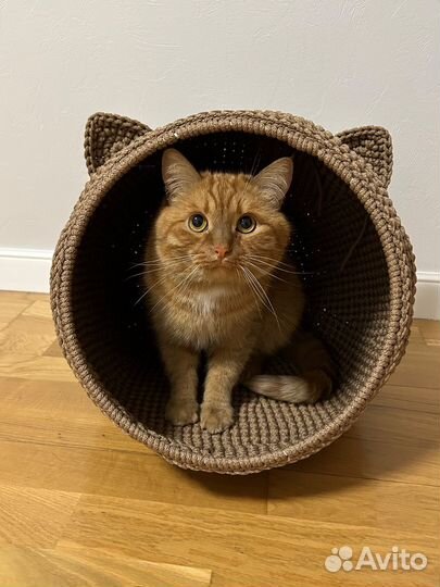 Домик для кошки