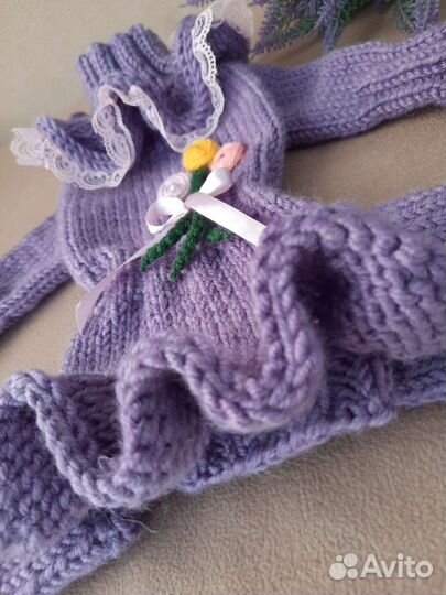 Одежда для собак