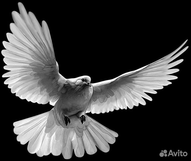 Библиотека psd шаблонов гравировки по камню