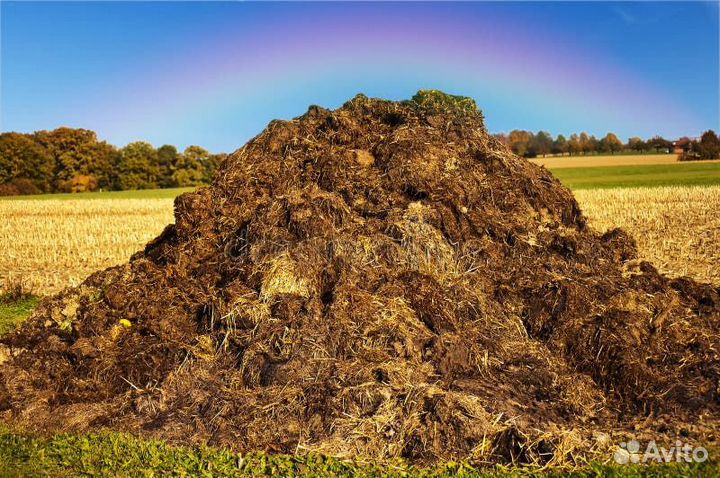 Привезу навоз