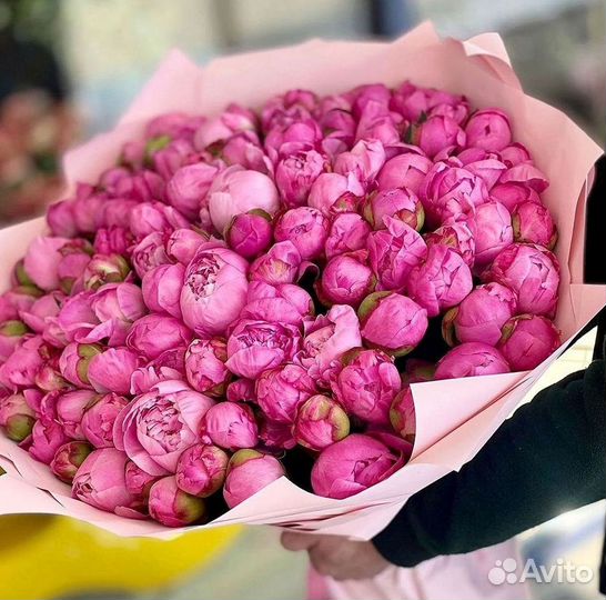 Пионы Букет пионов