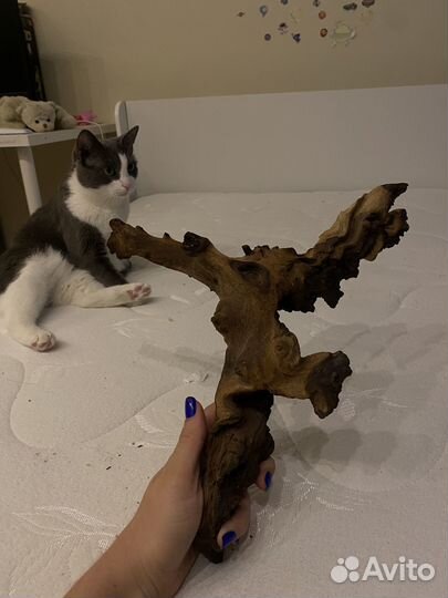 Коряга для террариума