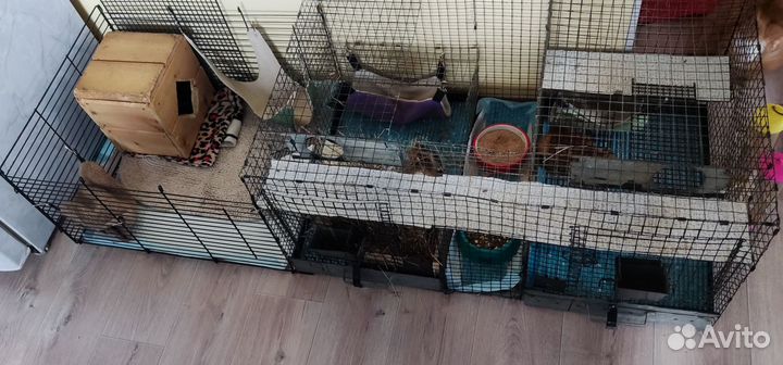 Клетка для грызунов большая
