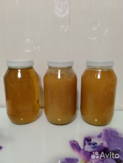 Мед Шатровский