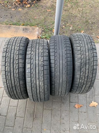 Roadstone Winguard Ice 185/65 R15