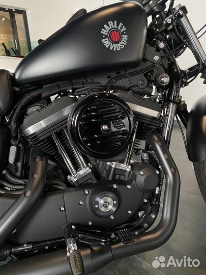 2020 Harley-Davidson Sportster Iron 883