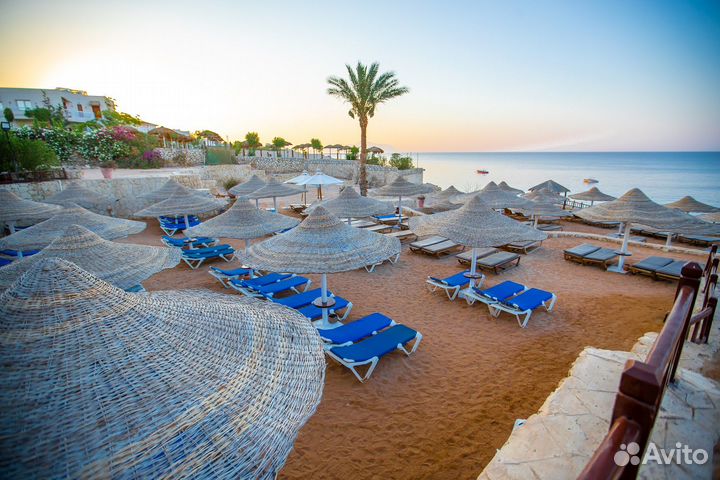 Тур в Египет Шарм вылет 23 июля на 10 ночей Спб