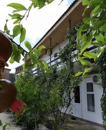 Комната 14 м² в 9-к., 1/2 эт.