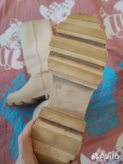 Сапоги женские демисезонные