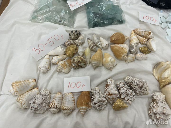 Ракушки и морское полосатое стекло