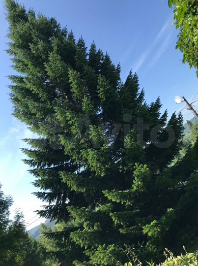 Дача 120 м² на участке 10 сот.