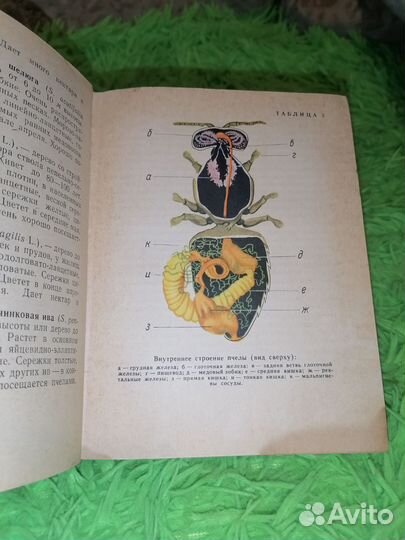 Книги по пчеловодству