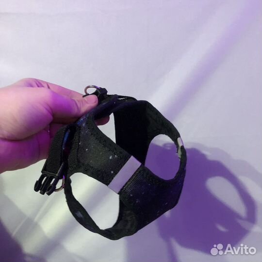 Шлейка для маленькой собаки