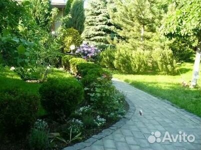 Рулонный газон