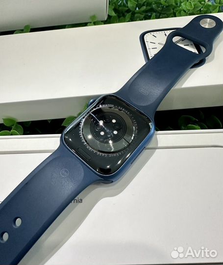 Как Новые Apple Watch 7 45mm Blue