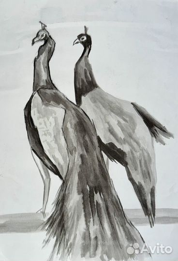 Эскизы к орнаменту с павлинами